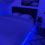 Apartament Loft Ravissant Avec Parking Gratuit Colmar