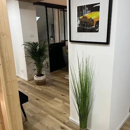 Loft Ravissant Avec Parking Gratuit דירה קולמר