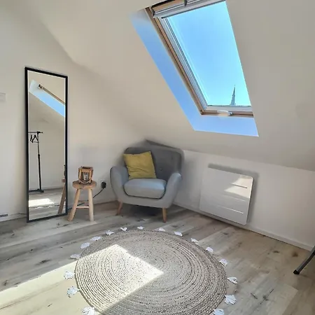 Loft Ravissant Avec Parking Gratuit קולמר