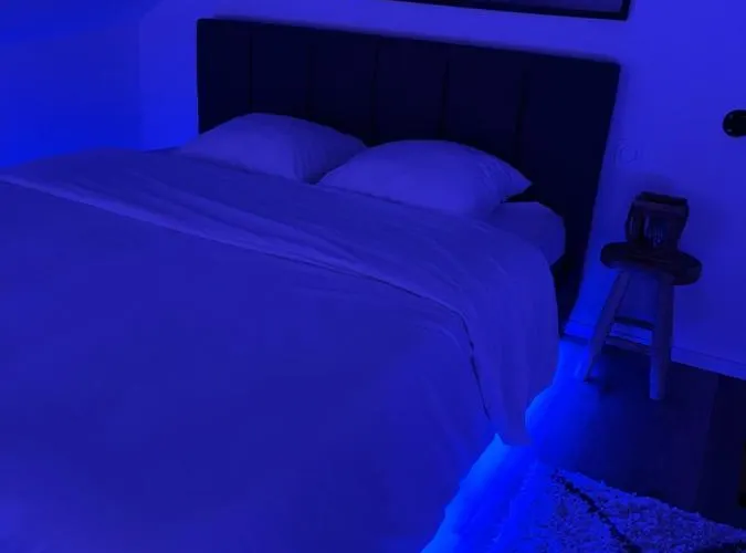 公寓 Loft Ravissant Avec Parking Gratuit 科尔马