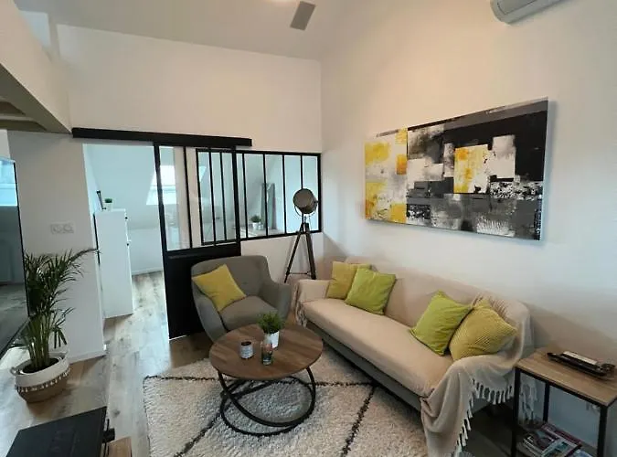 Appartamento Loft Ravissant Avec Parking Gratuit *