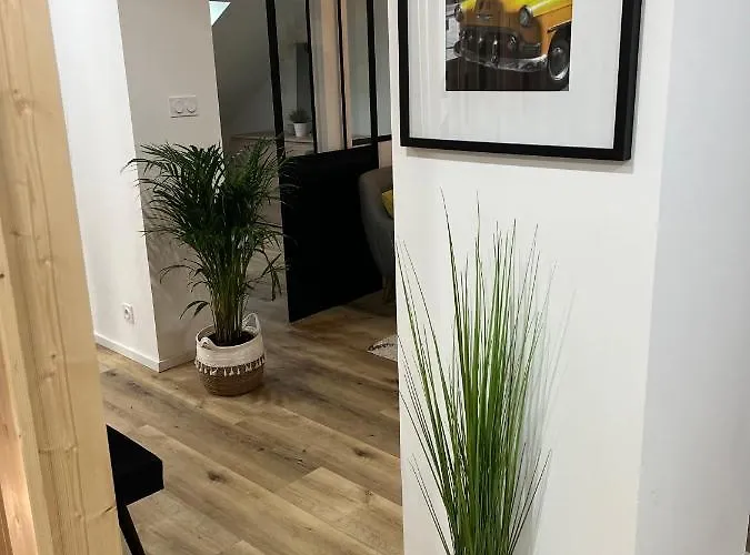 Loft Ravissant Avec Parking Gratuit Appartamento Colmar